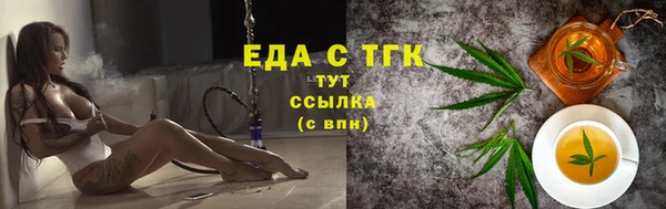 индика Новодвинск