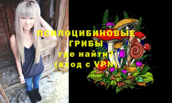 спиды Новокубанск