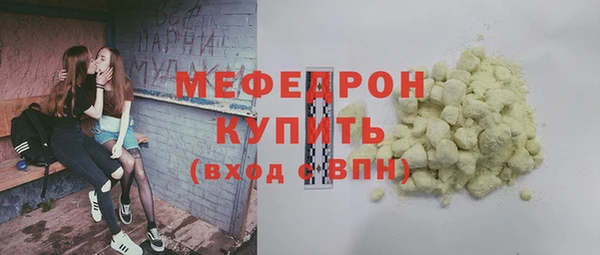 индика Новодвинск