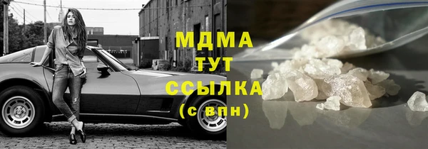 индика Новодвинск