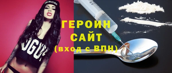 индика Новодвинск