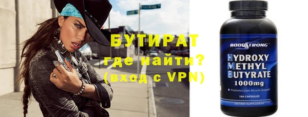 индика Новодвинск