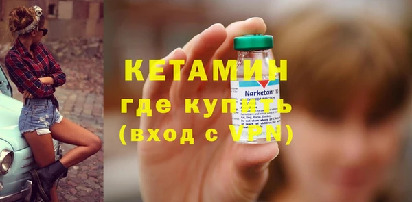 индика Новодвинск