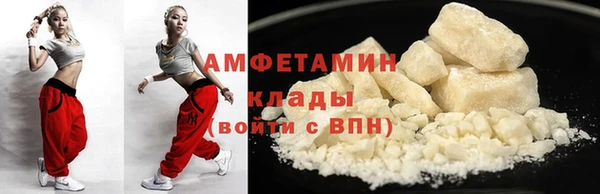 индика Новодвинск