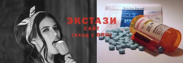 индика Новодвинск