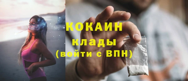 индика Новодвинск