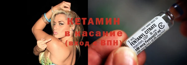 индика Новодвинск