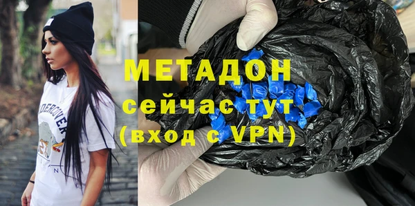 индика Новодвинск