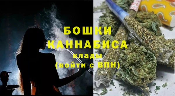 индика Новодвинск