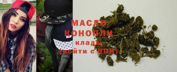 индика Новодвинск