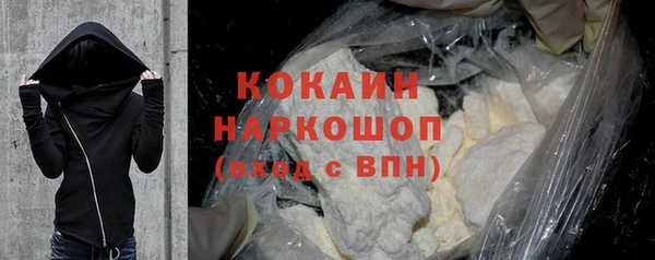 индика Новодвинск