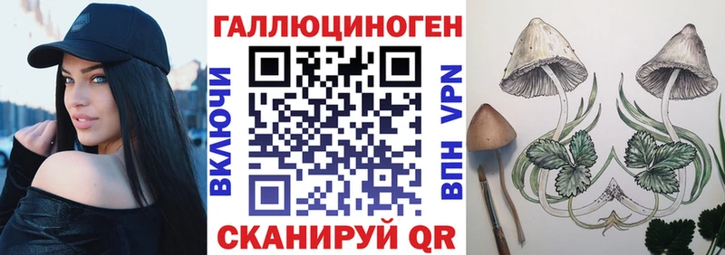 Галлюциногенные грибы Psilocybe  Ленинск 